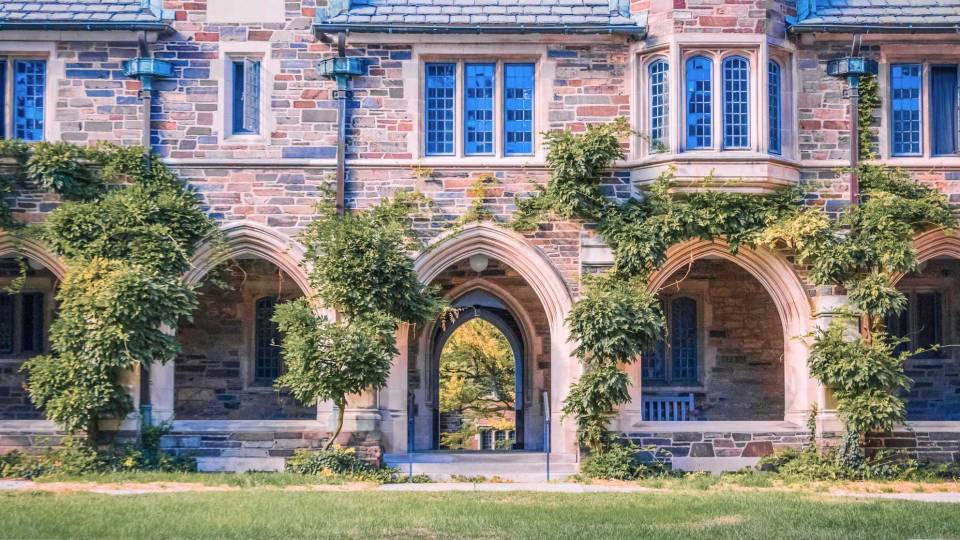 Campus beauty