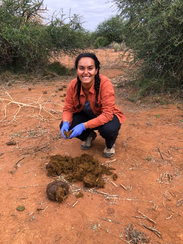 Finote Gijsman crouching over a dung pile